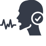 Voice recognition